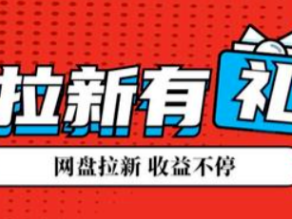100个实操兼职项目揭秘(2/100)：网盘拉新、短视频拉新「浪子叔」